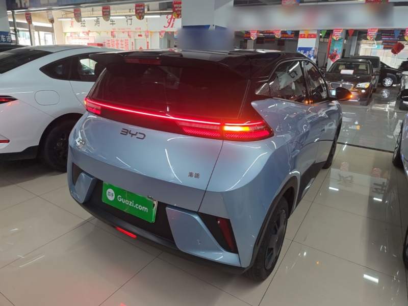 Used BYD Seagull 2025 Intelligent Driving Version 305 km Dynamic Edition — 6