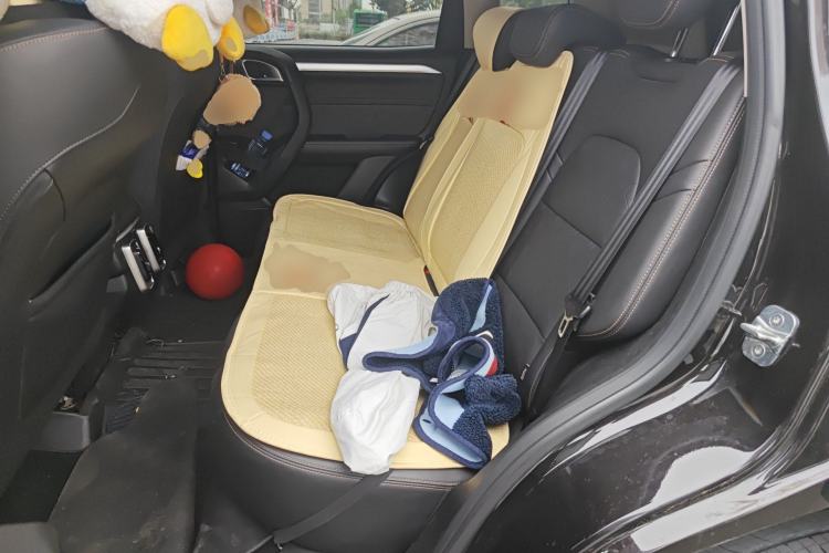 Used Haval DARGO 2021 1.5T DCT Two-Wheel Drive Border Collie Edition Left Rear Seat