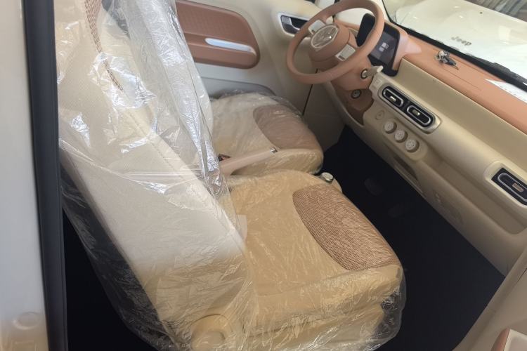 Used Wuling Hongguang MINIEV 2024 3rd Generation 215km Youth Edition Right Front Seat