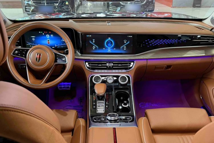 Used Hongqi H9 2020 2.0T Smart Connect Flagship Edition