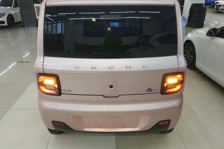 Used Geely Galaxy Panda 2024 Panda Mini 200km Longteng PRO Edition Exterior 4