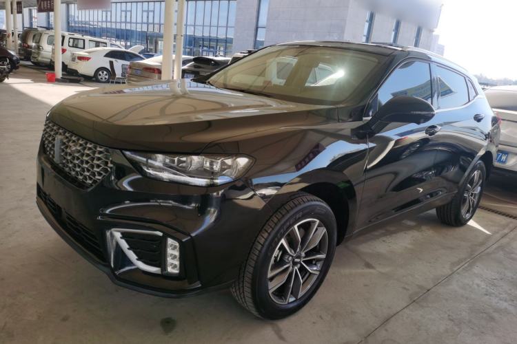 Used Wey VV5 2021 1.5T Two-Wheel Drive Color Pioneer