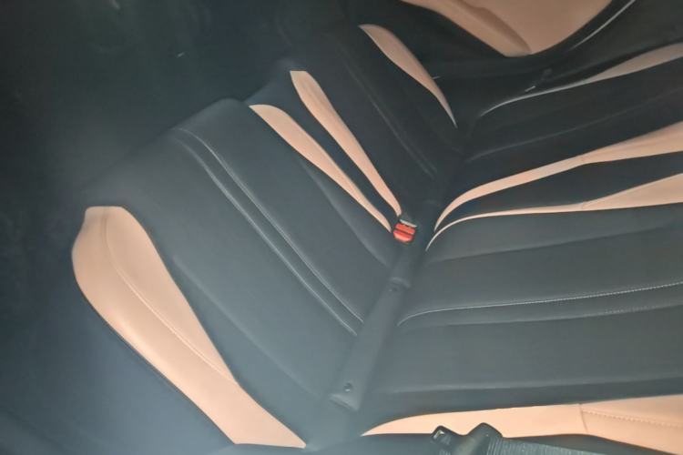 Used BYD Seagull 2023 Flying Edition Left Rear Seat