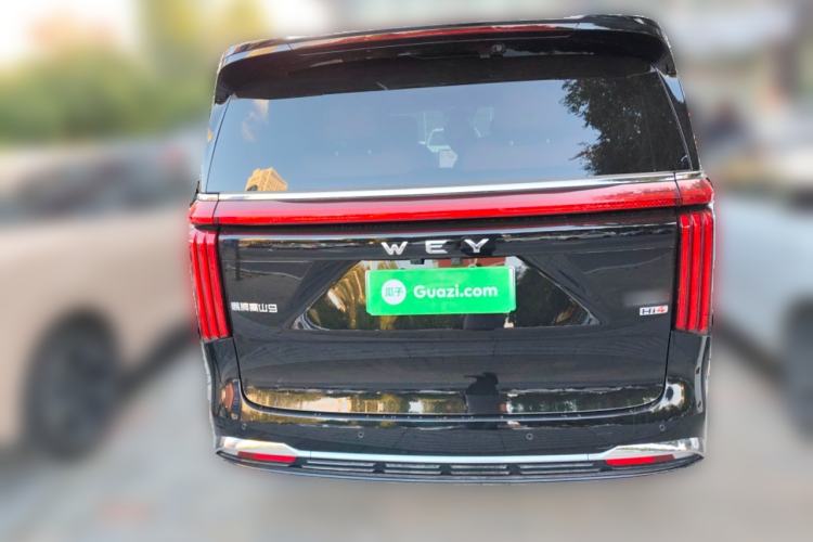 Used Wey Gaoshan 2025 Four-Wheel Drive Alpine 9
