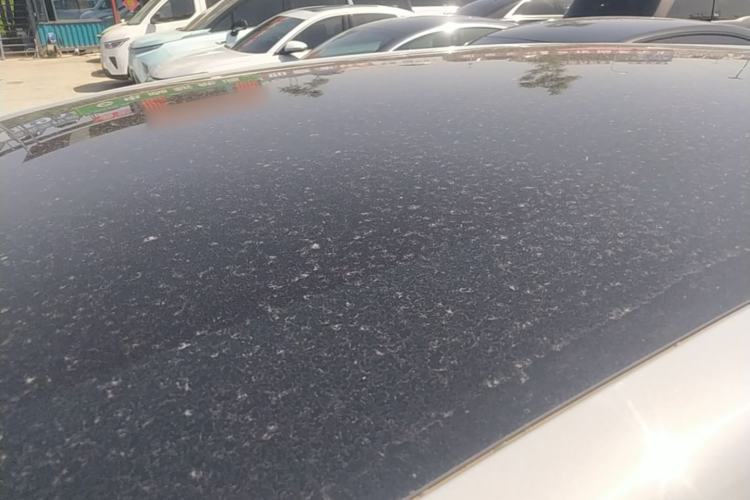 Used ARCFOX Kaola S 2024 AIR Roof