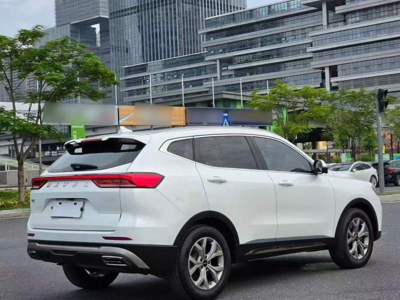 Used Haval H6 2021 National Trend Edition 1.5T Automatic Champion Version — 35