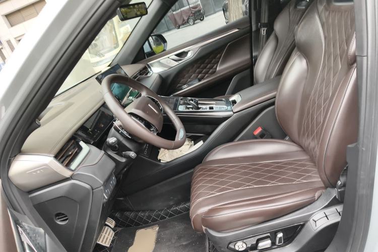 Used Wey Mocha 2021 2.0T Two-Wheel-Drive Premium Edition Left Front Seat