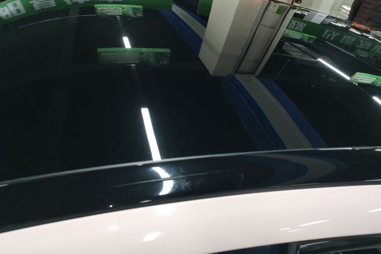 Used Ford Mustang Mach-E 2021 AION Y Plus Rear-Drive Luxury Edition (Long Range)