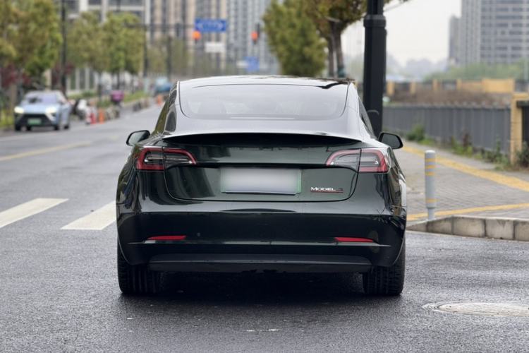 Used Tesla Model 3 2022 Performance High-Performance All-Wheel-Drive Version Exterior 9