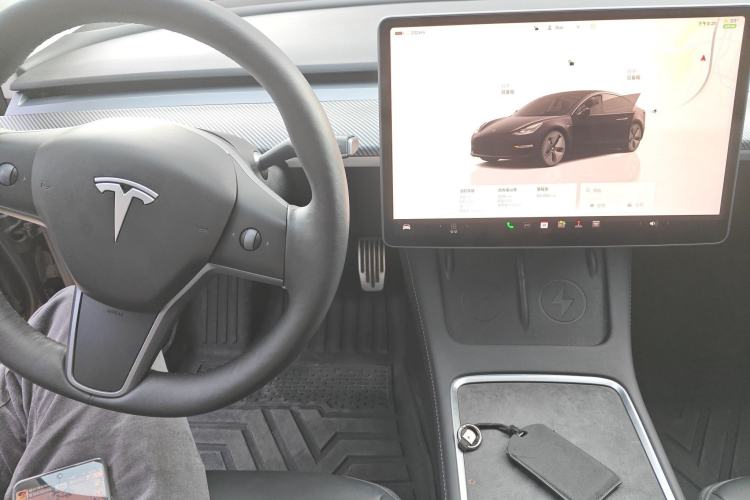 Used Tesla Model 3 2022 Rear-Wheel-Drive Version