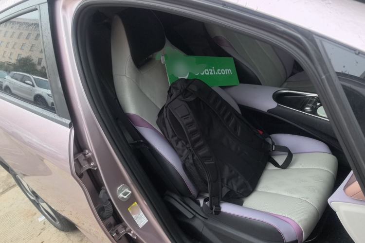 Used BYD Dolphin 2023 420 km Free Version Right Front Seat