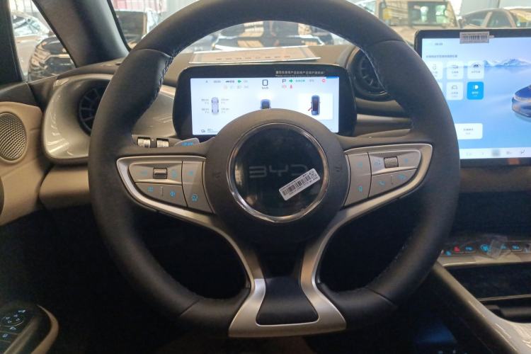 Used BYD Dolphin 2025 Smart Drive Version 420 km Freedom Edition