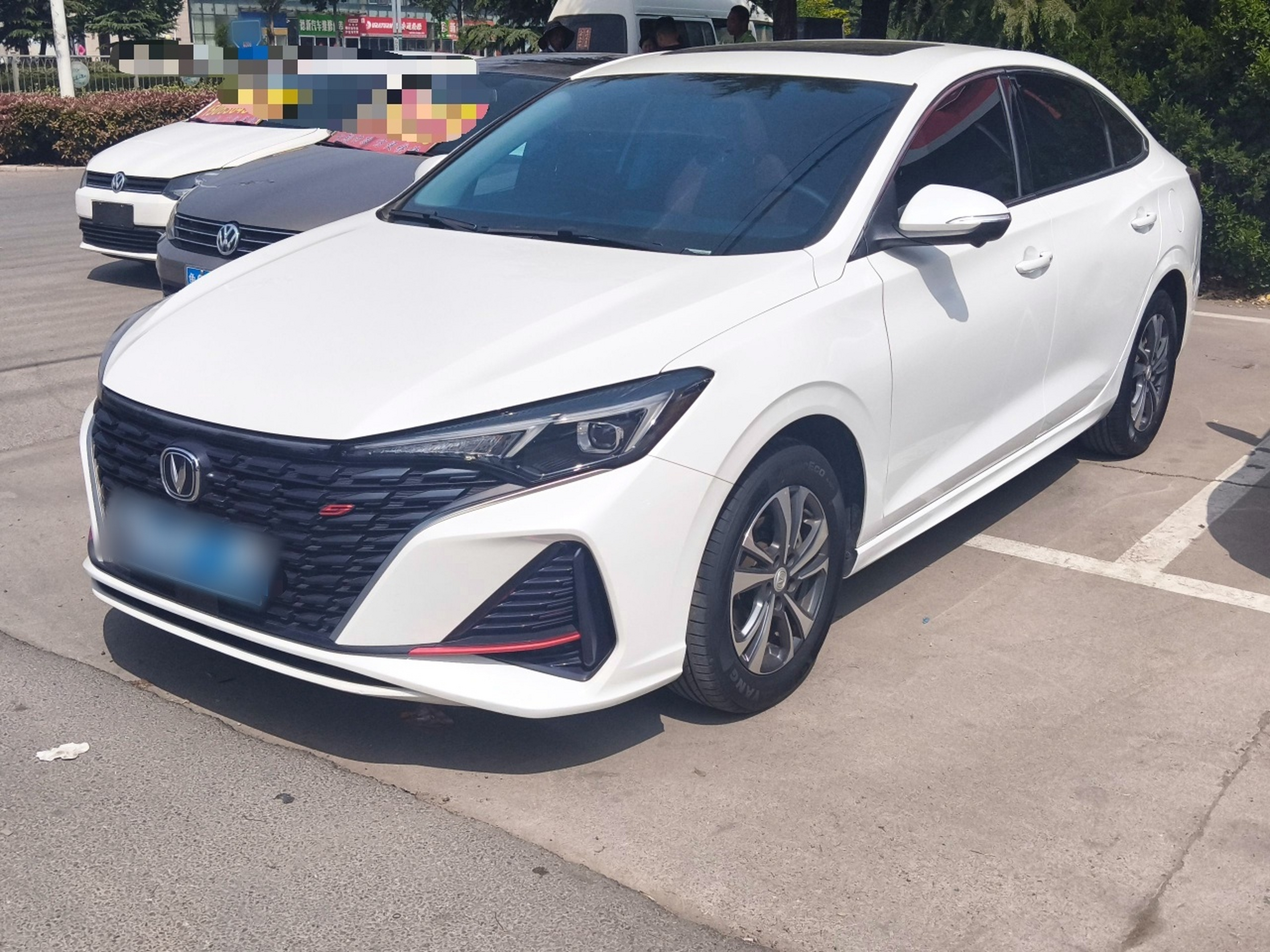 Parte inferior delantera