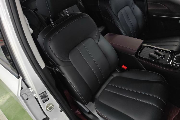 Used GAC Trumpchi M6 2023 PRO 270T DCT Luxury Edition Right Front Seat