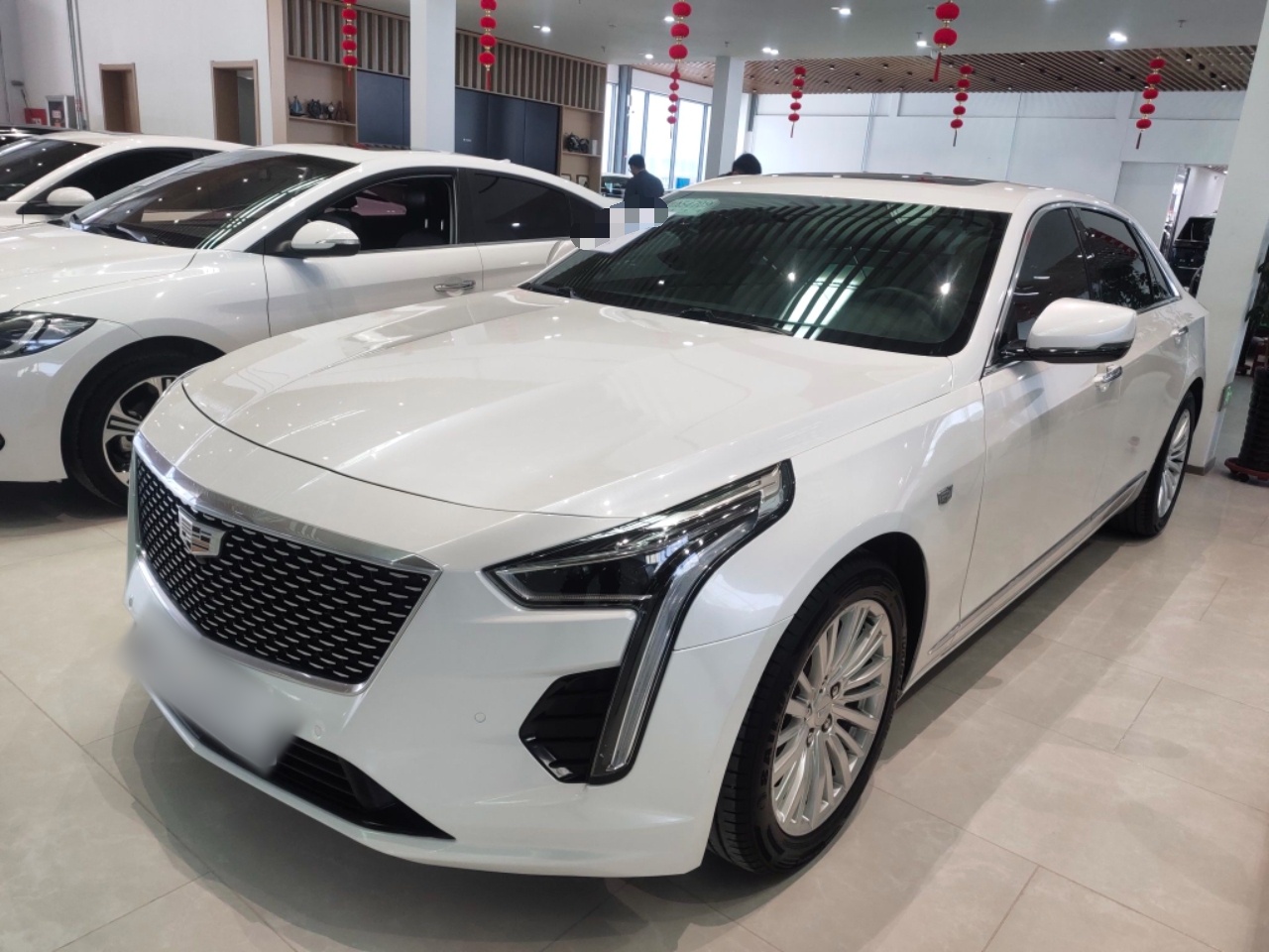 Parte inferior delantera