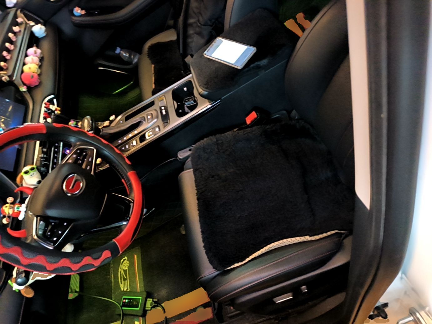 Interior delantero
