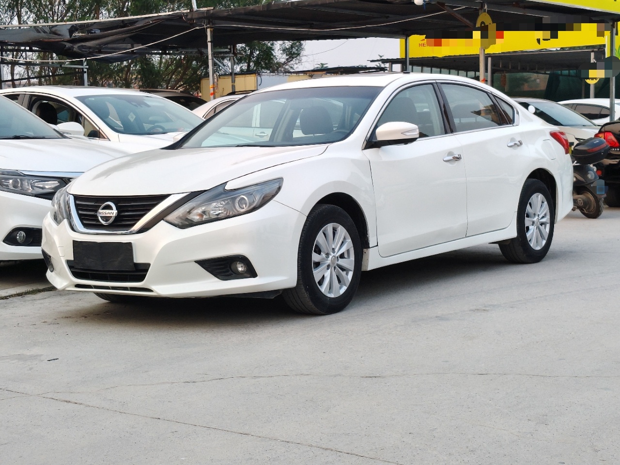 Parte inferior delantera