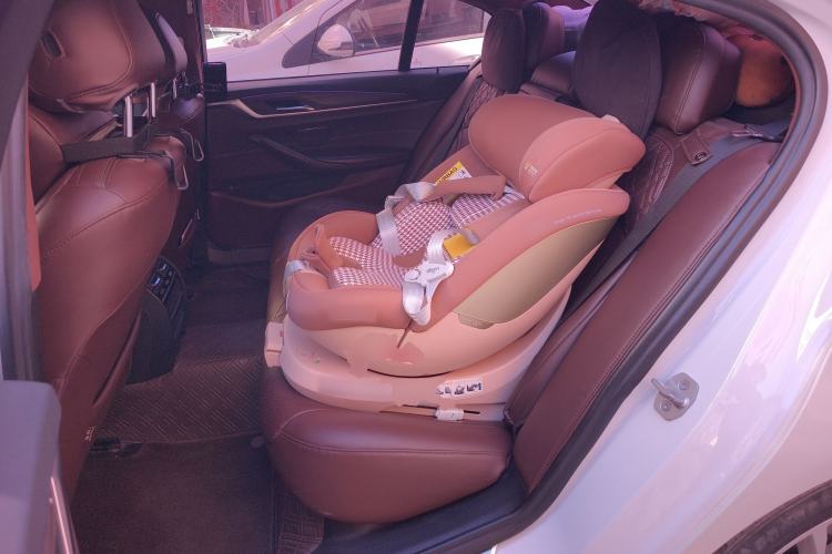 Used BMW 5 Series 2018 530Li xDrive Luxury Package
