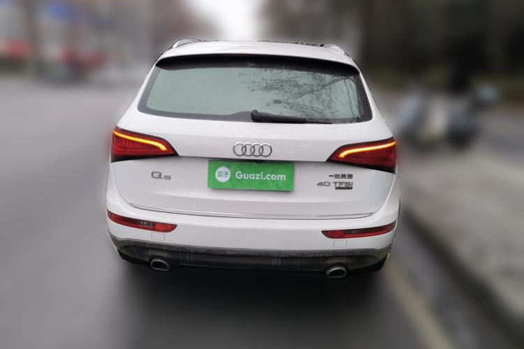 Used Audi Q5 2017 40 TFSI Ambition Edition Rear