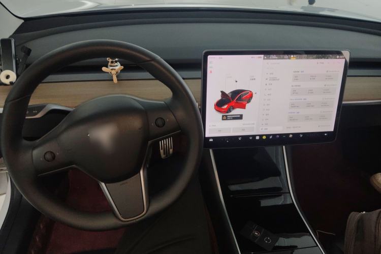 Used Tesla Model 3 (Import) 2019 Long-Range Rear-Wheel-Drive Version