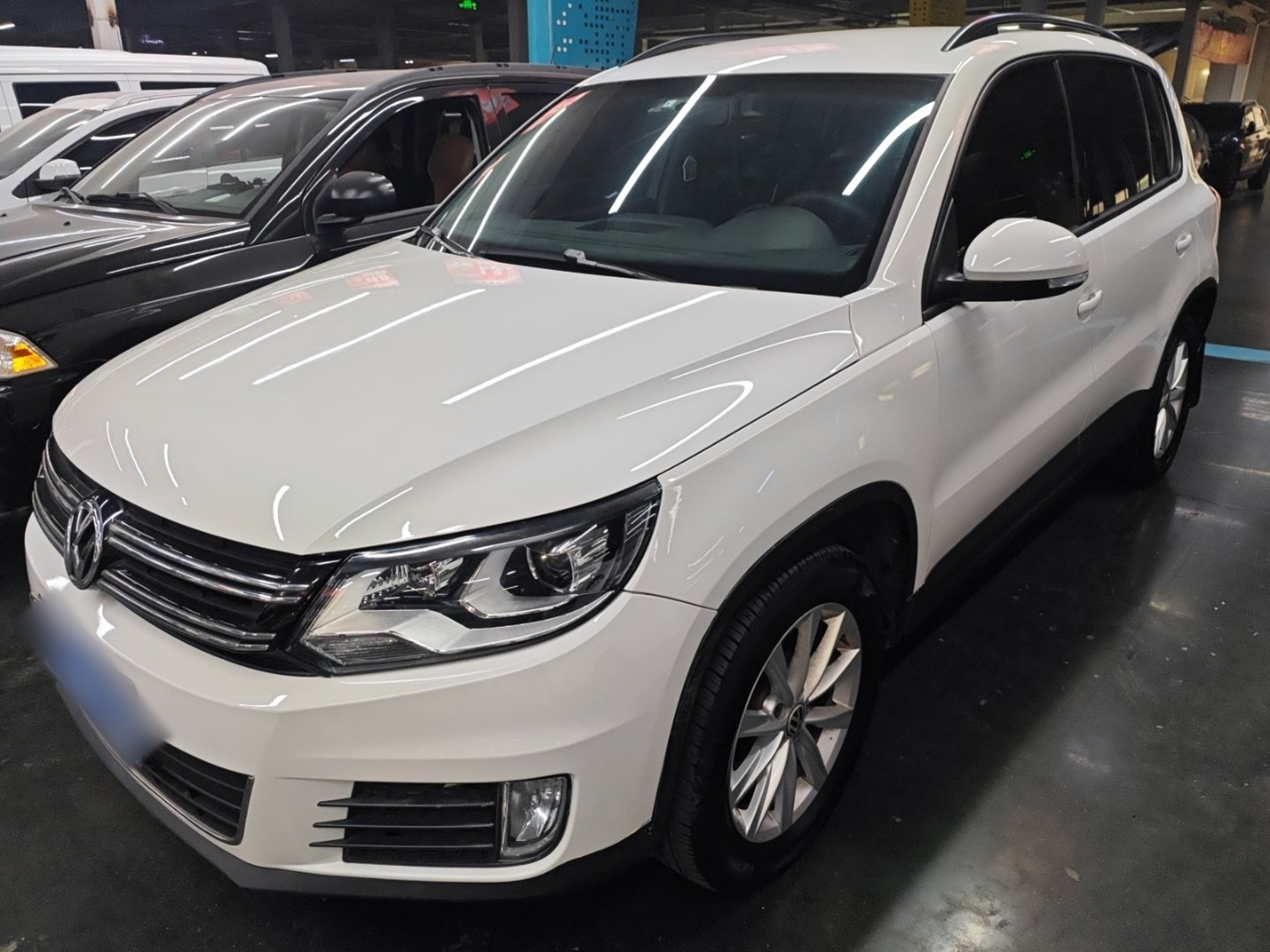 Parte inferior delantera