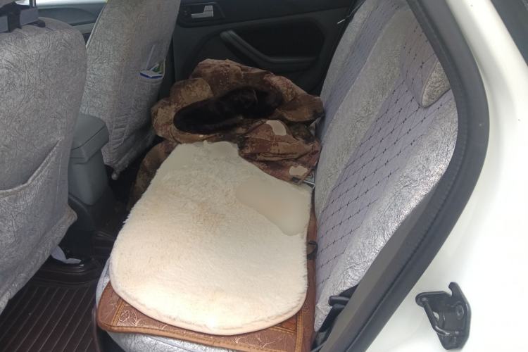 Used Ford Focus 2013 Hatchback Classic 1.8L Manual Base Model