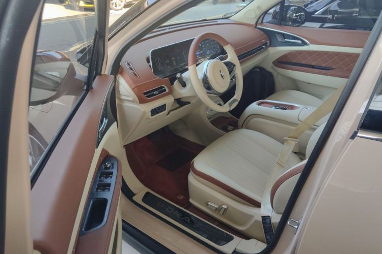 Used ORA Good Cat 2023 401 km Standard Range Luxury Version Lithium Iron Phosphate
