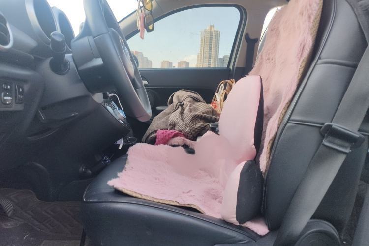 Used ORA Black Cat 2019 351 km Goddess Edition Left Front Seat