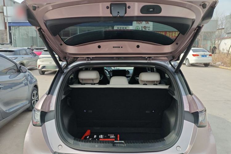 Used BYD Dolphin 2021 401km Knight Edition