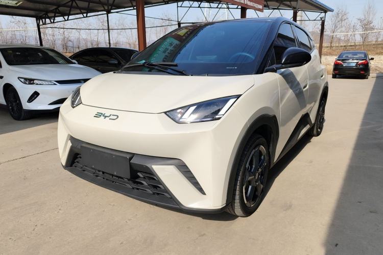 Used BYD Seagull 2024 Honor Edition 305km Freedom Version