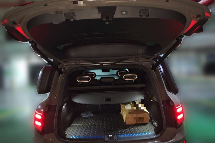 Used smart #5 2024 Jungle Realm Limited Edition