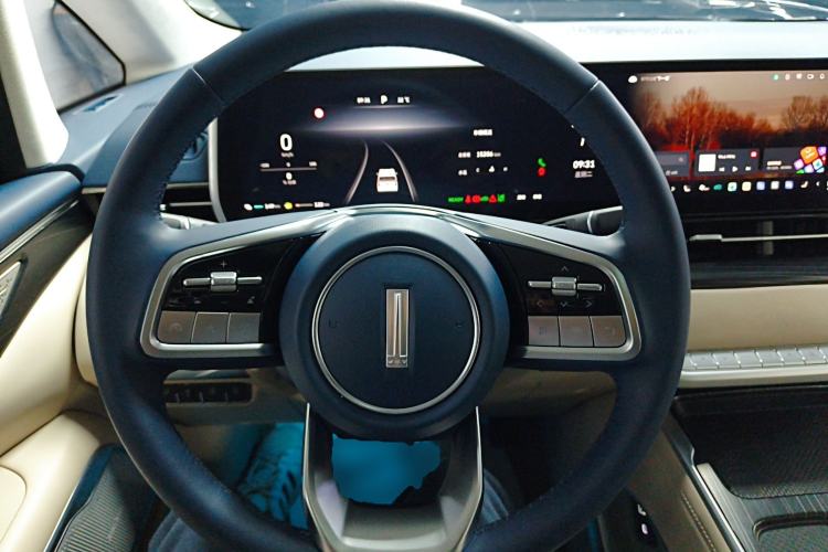 Used Wey Gaoshan 2023 Four-Wheel-Drive Executive Extended Version Steering Wheel