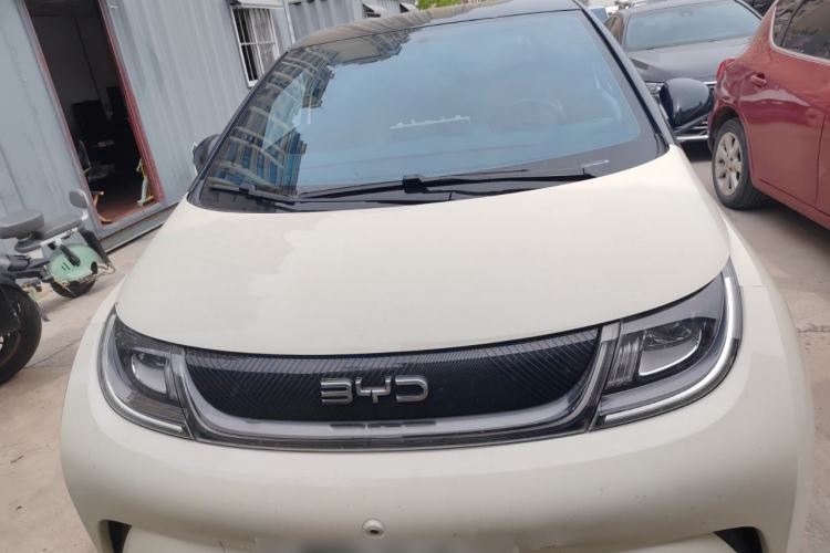 Used BYD Dolphin 2024 Honor Edition 420km Freedom Version Front