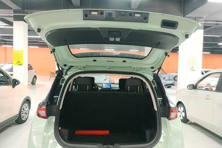 Used Dayun Yuehu 2022 30.66 kWh Two-Wheel Drive Standard Version
