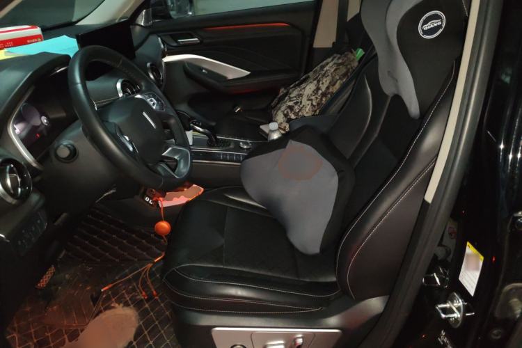 Used Wey VV6 2021 2.0T Two-Wheel Drive Smart Protection+ Left Front Seat