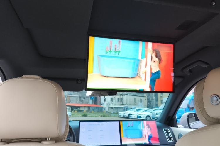 Used Li Auto L6 2024 Pro Model Headliner