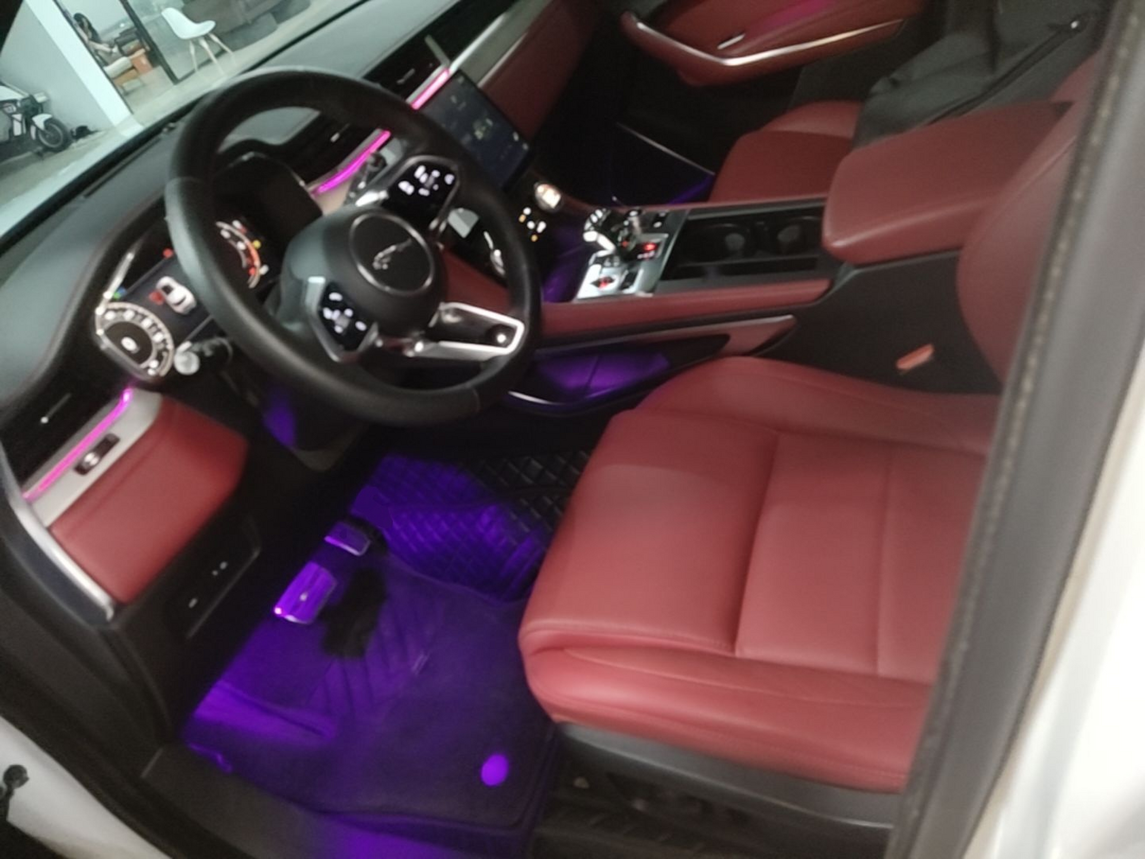 Interior delantero