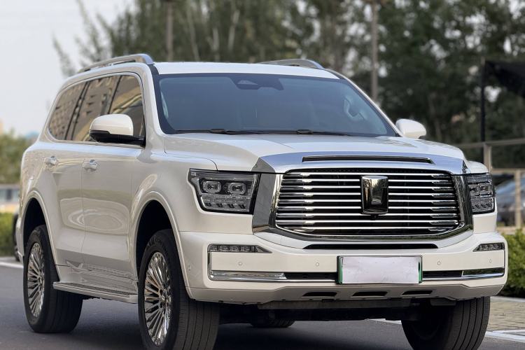 Used Tank 500 New Energy 2025 Hi4-Z Exterior 1