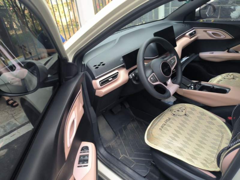 Used BYD Seagull 2025 Intelligent Driving Version 305 km Dynamic Edition — 12
