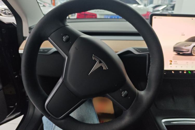 Used Tesla Model 3 2022 Rear-Wheel-Drive Version