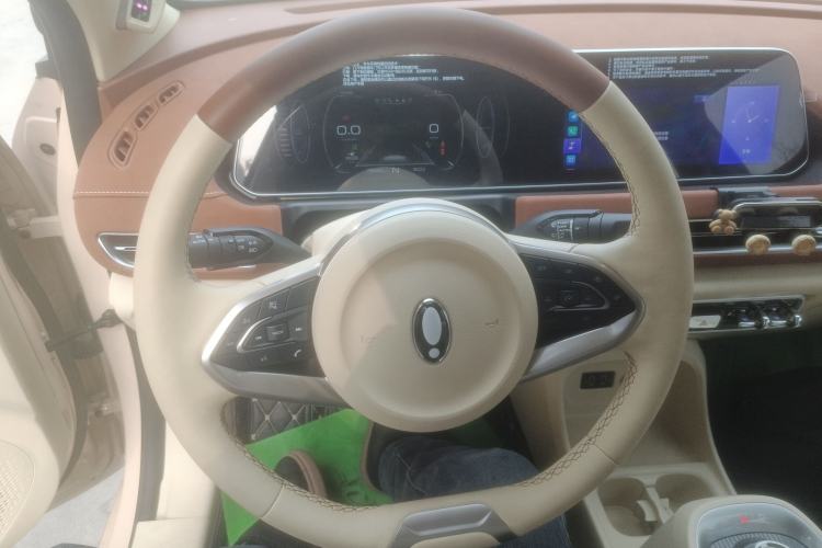 Used ORA Good Cat 2022 Morandi Edition 400km Standard Range Premium Version Lithium-Ion Battery