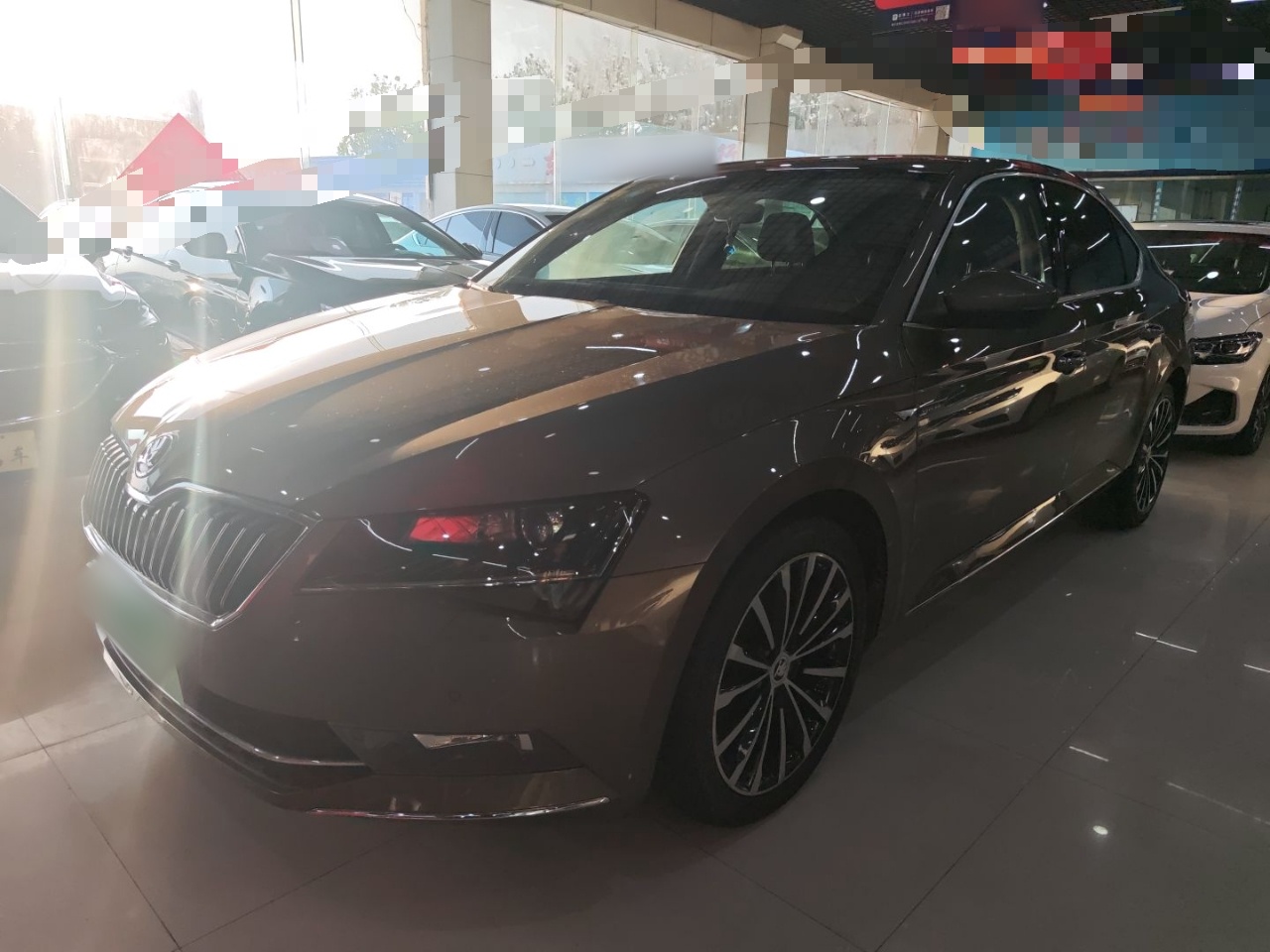 Parte inferior delantera