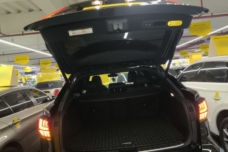 Used Lexus RX 2020 Revised Version 300 Four-Wheel Drive F SPORT