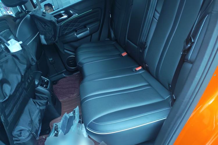 Used Tank 300 2021 City Edition 2.0T Essential Model Left Rear Seat