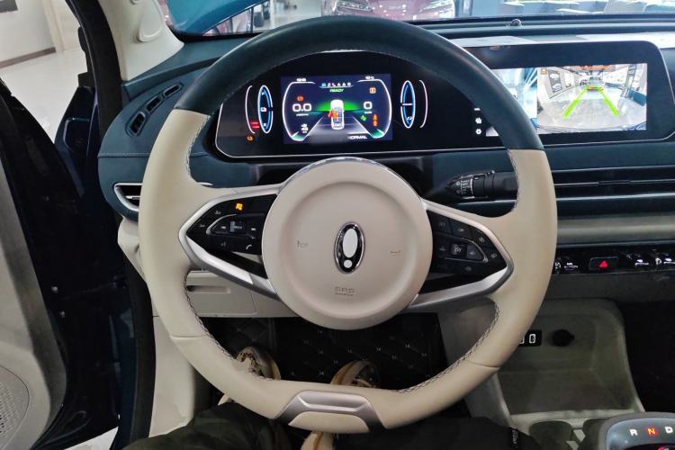 Used ORA Good Cat 2022 Morandi Edition 400km Standard Range Two-Week Young Enjoyment Version Lithium Iron Phosphate
