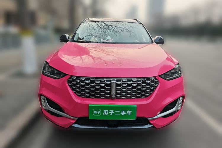 Used Wey VV6 2021 2.0T Two-Wheel Drive Smart Protection+