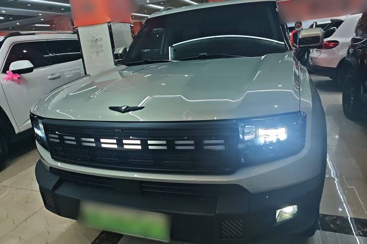 Used JETOUR Shanhai T1 2025 150 km to the Lake