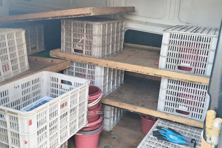 Used Ford Transit 2019 2.0T Diesel Van Mid-Chassis Mid-Roof 3-Seater China VI Standard
