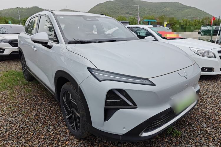 Used Wuling Xingguang S 2024 130 km Flagship Version
