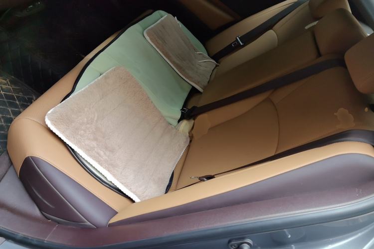 Used Lexus ES 2020 200 Excellence Edition